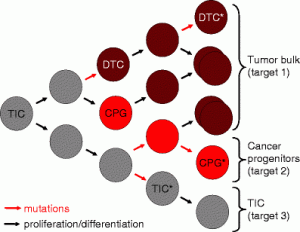 Anticancer therapy must target more than one type of cell. TIC means tumor initiating cell, DTC means differentiated tumor cell, and CPG means cancer progenitor