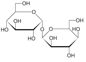 Trehalose molecule